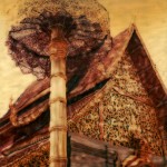 Sandy Shum - Golden Umbrella Temple Roof