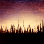 Sandy Shum - Rice Fields at Sunrise