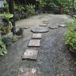 Borderline Tea Shop, Mae Sot, Thailand