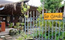Borderline Tea Shop, Mae Sot, Thailand