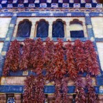 Garlands of Hot Chili Peppers