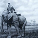 In-the-farm-by-Nid