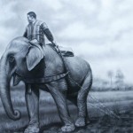 In-the-farm-by-Nid